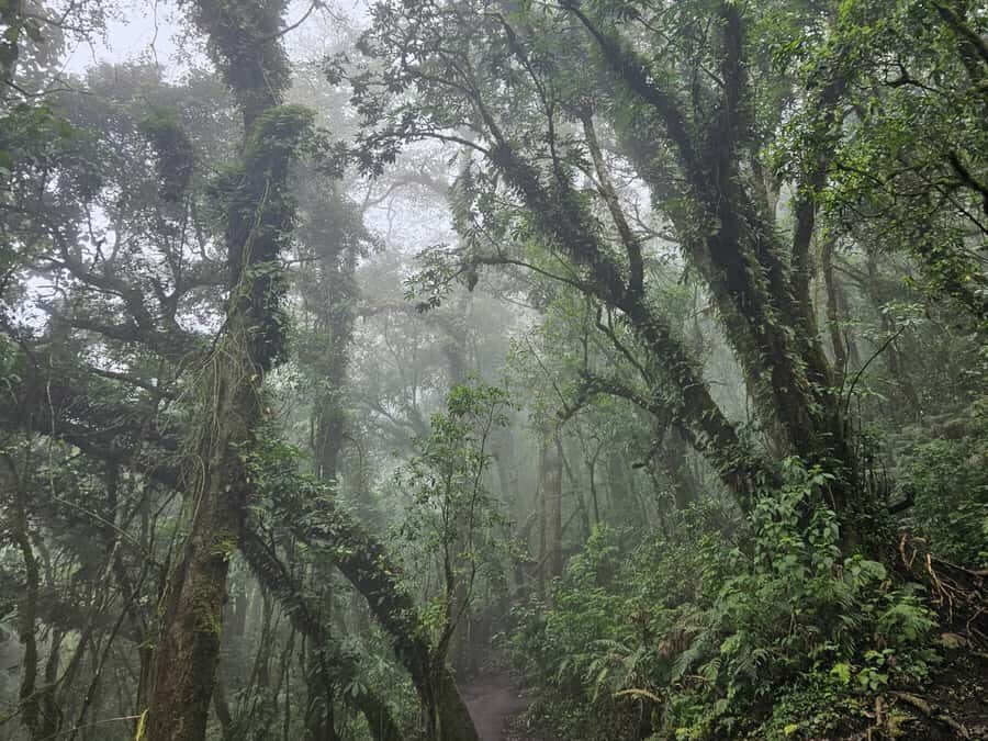 2-day tour from Antigua 1 night in Acatenango Volcano - Should You Book This Acatenango Volcano Tour?