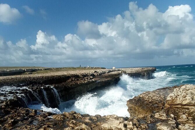 Antigua Eco Island Tour (City, Country, Beach, & Heritage Sites) - Price and Logistics: The Real Value Check