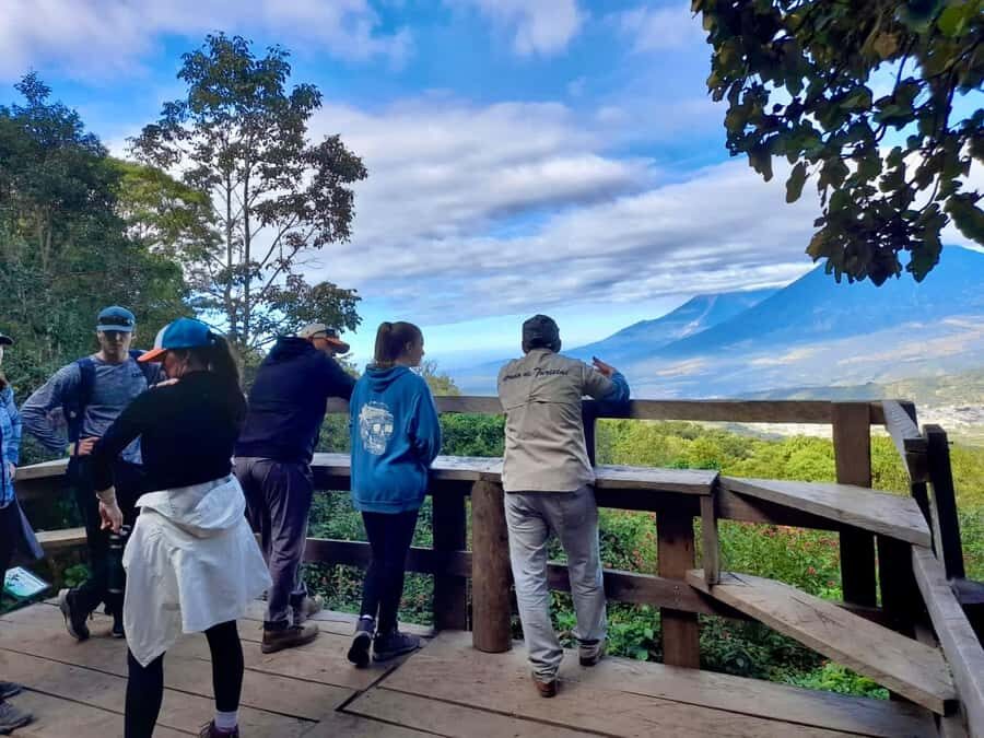 Antigua Guatemala: Private Day Tour to Pacaya Volcano - The guided hike on Pacaya: pace, safety, and learning as you walk