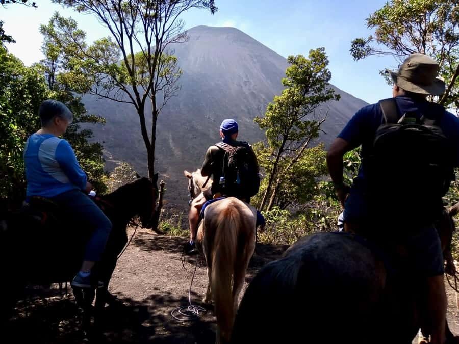 Antigua Guatemala: Private Day Tour to Pacaya Volcano - Who should book this private Pacaya tour—and who should skip it
