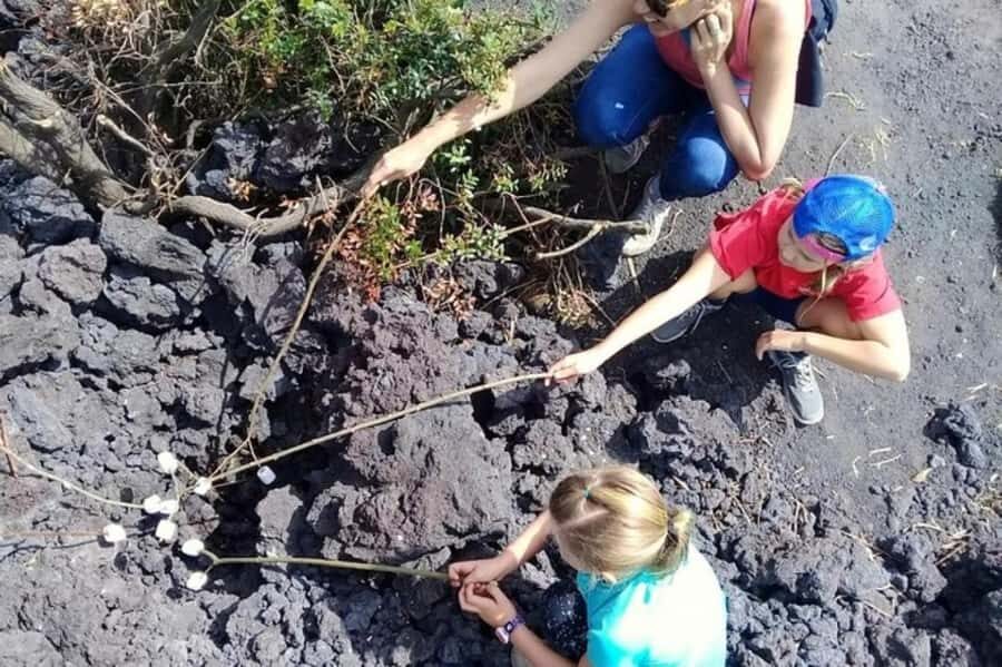 Antigua Guatemala: Private Day Tour to Pacaya Volcano - Private van, admission, and guide: what $95 buys you (and what it doesn’t)