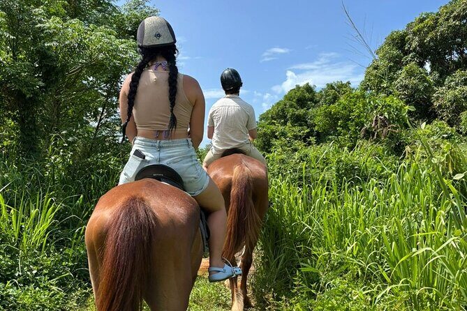 Antigua Horse Ride and Swim - Key Things to Know Before You Go