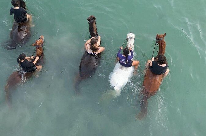 Antigua Horse Ride and Swim - Photo Moment Territory for Superyacht Season