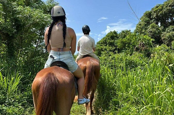 Antigua Horse Ride and Swim - What’s Included (and What You’ll Want to Bring)
