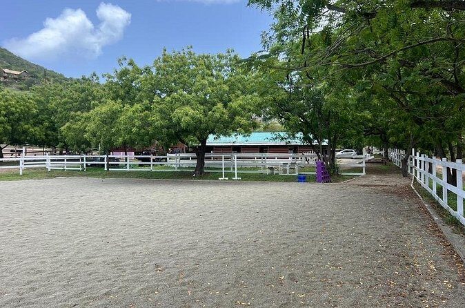 Antigua Horse Ride and Swim - Safety Setup: Helmets, Life Vests, and 1-to-2 Team Support