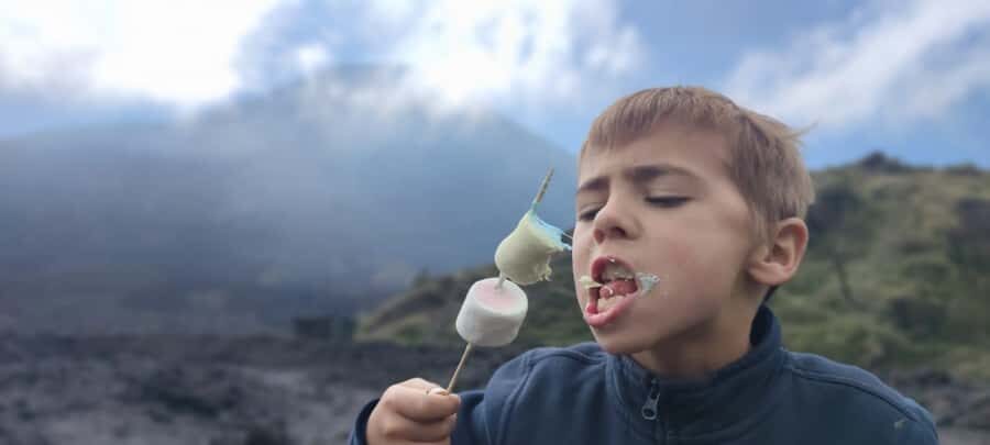 Antigua: Marshmallows Roasting at Pacaya Volcano 6-hour Tour - Quick, high-value things to know