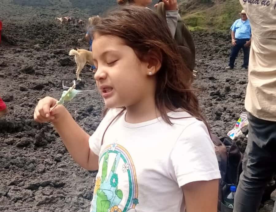 Antigua: Marshmallows Roasting at Pacaya Volcano 6-hour Tour - Pacaya in half a day: how the 6-hour flow feels