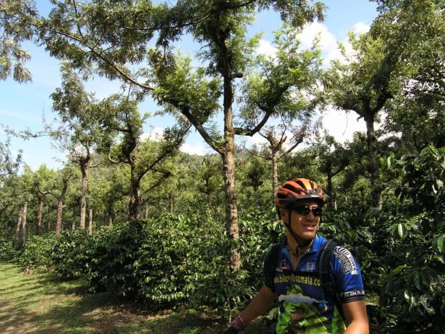 Antigua Sip 'n Cycle Half-Day Bike Ride and Coffee Tour - What’s Not Included: The Stuff You Should Plan For