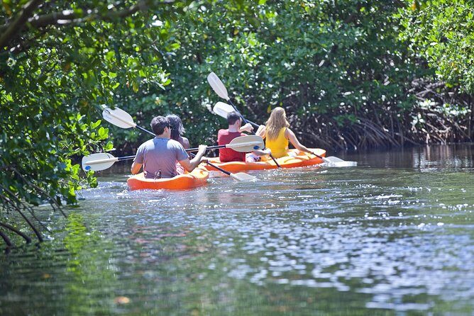 Antigua Zipline & Kayaking Combo From St. John's - Great Bird Island: Snorkel Time, Swimming, and the Lunch You’ll Actually Appreciate