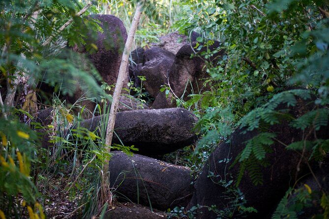 Caribbean Stonehenge - Hike on Green Castle Hill, Antigua. - Value and costs: $79.99 plus what to plan for