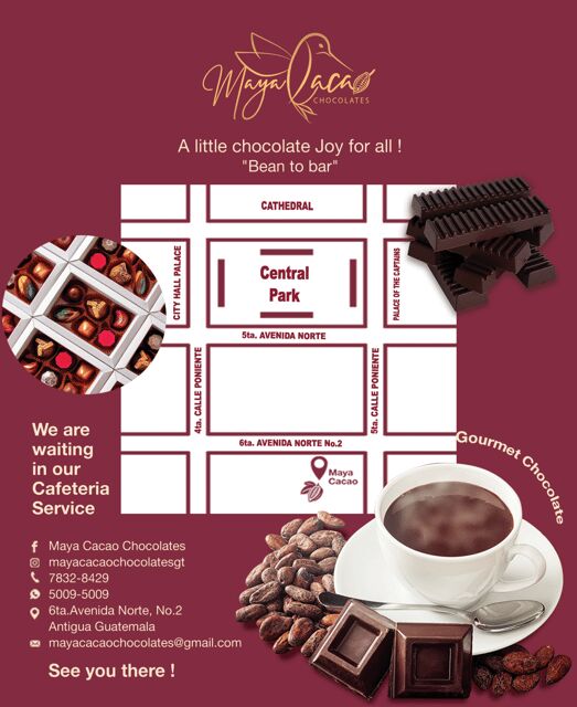 Chocolate workshop; gastronomic experience of cocoa. - Roasting, Shelling, and Grinding: Your Hands on the Beans