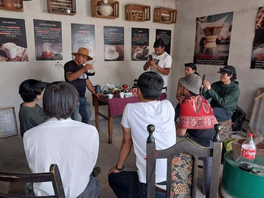 Coffee farm experience - Key Things I’d Watch For