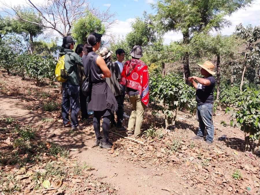 Coffee farm experience - Who This Tour Fits Best (and Who Might Skip It)