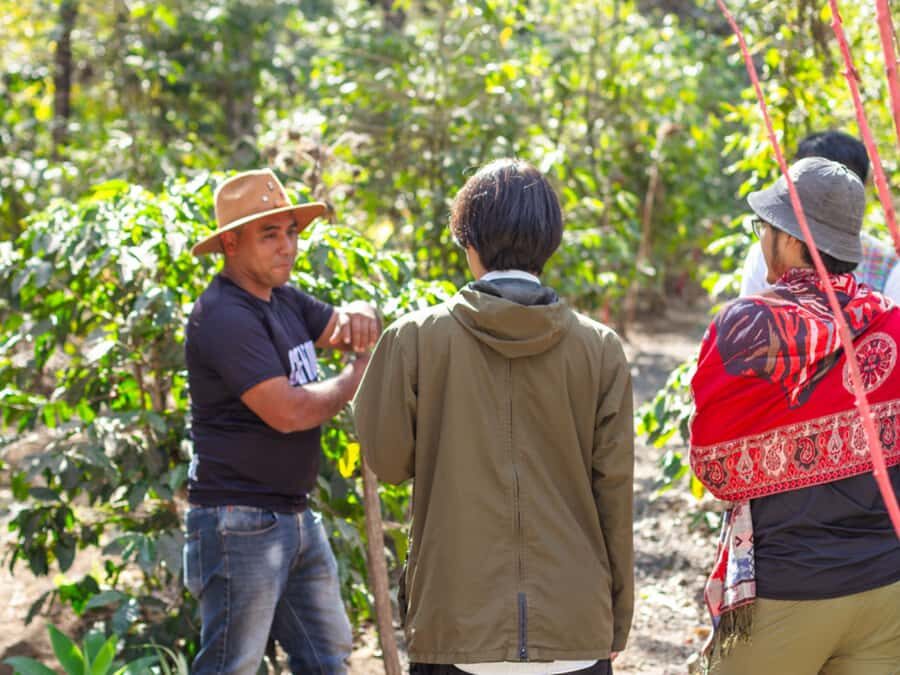 Coffee Tour in Antigua Guatemala - Price and Logistics: Is $69 Worth It?