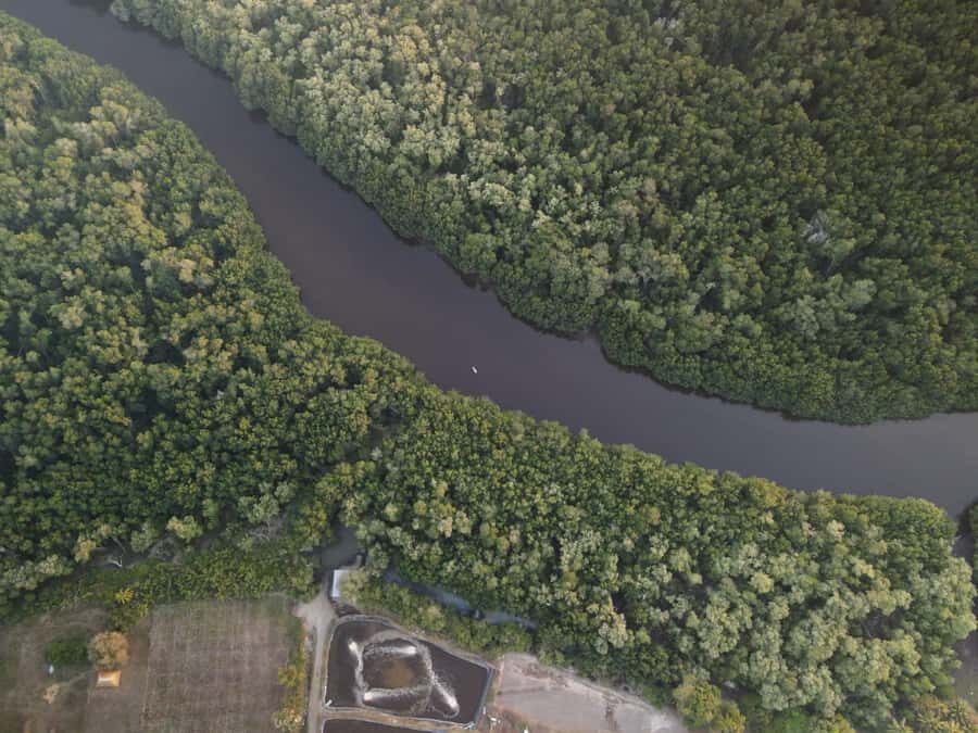 El Paredón: Mangrove Boat Tour with Optional Fishing - Optional fishing: what you can expect and when it’s worth adding