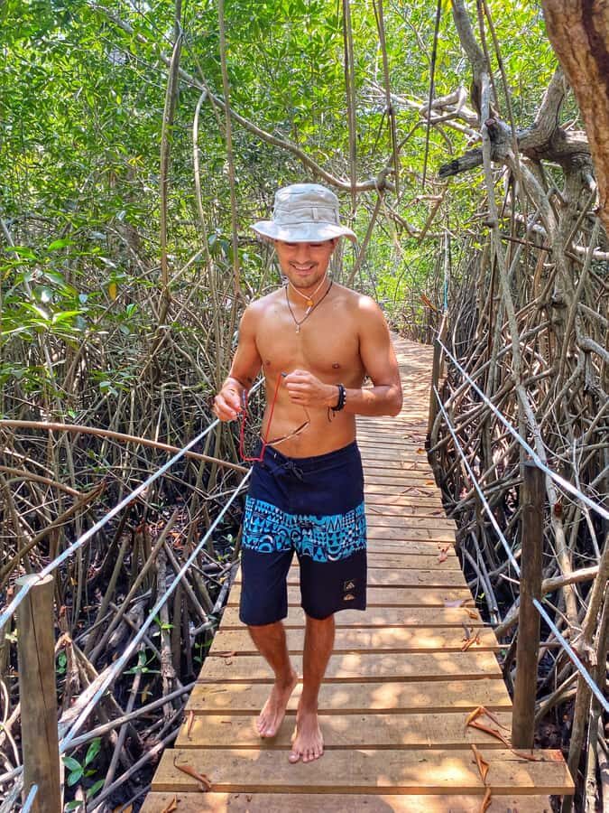 El Paredón: Mangrove Boat Tour with Optional Fishing - What to look for: birds, fish, mangrove vegetation, and crabs