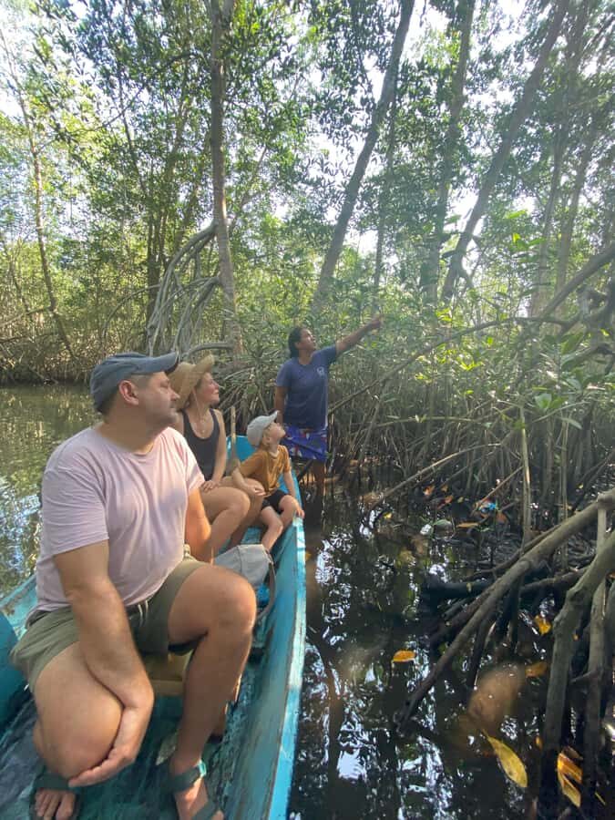 El Paredón: Mangrove Boat Tour with Optional Fishing - The private group setup that keeps the tour from feeling generic