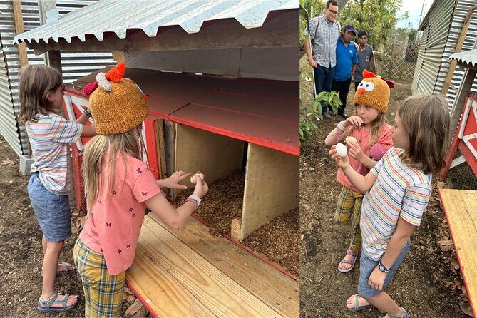 Experience: Organic Coffee, Avocados, Honey & More! - From Antigua to San Pedro Las Huertas: the easy ride into farm life
