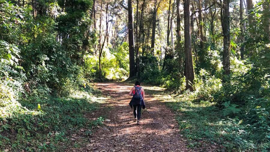From Antigua Guatemala: Birdwatching and Scenic Hiking Tour - Where Finca El Pilar delivers real birdwatching near Antigua