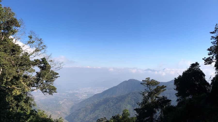 From Antigua Guatemala: Birdwatching and Scenic Hiking Tour - The birding start: what scanning feels like on the trails