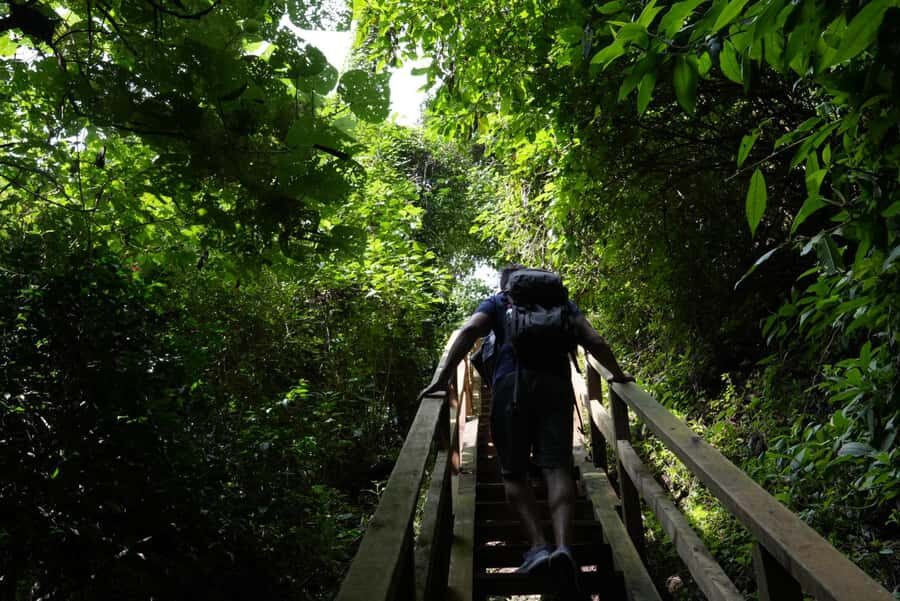 From Antigua Guatemala: Birdwatching and Scenic Hiking Tour - Lower trails: where birds often show up for you