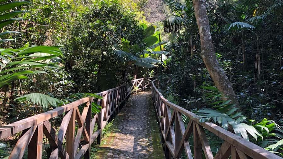 From Antigua Guatemala: Birdwatching and Scenic Hiking Tour - Getting there: pickup, timing, and what you’ll do on day-of