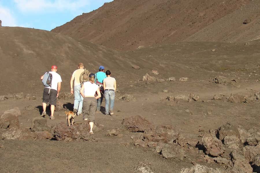 From Antigua: Pacaya Volcano Trek - The hike to the summit: pine forests, steep effort, and guided pacing
