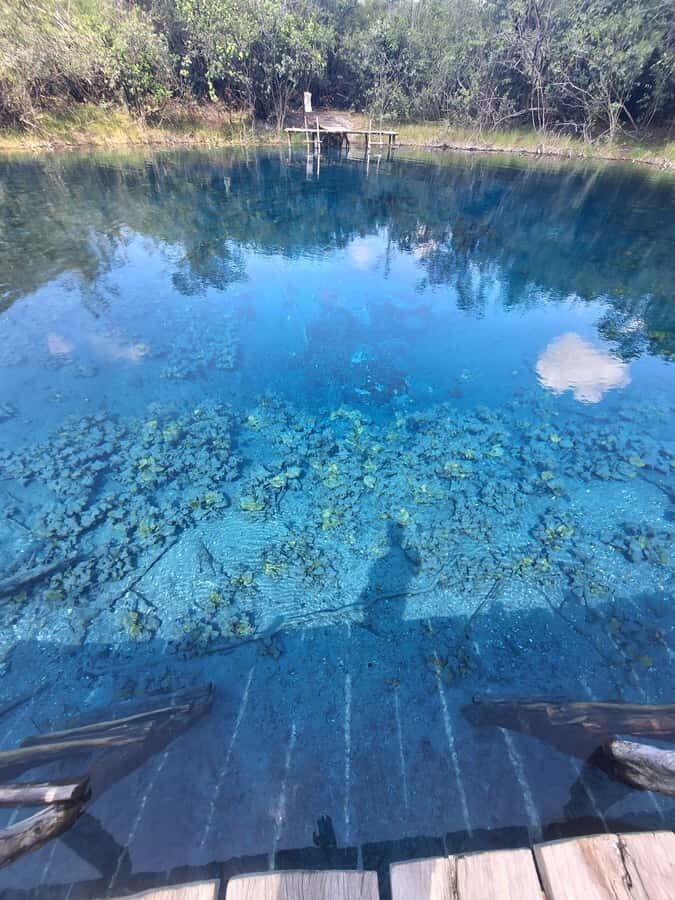 From Flores: Blue Crater Adventure All Inclusive - Speedboat on the La Pasión River: views, birds, and a lively pace