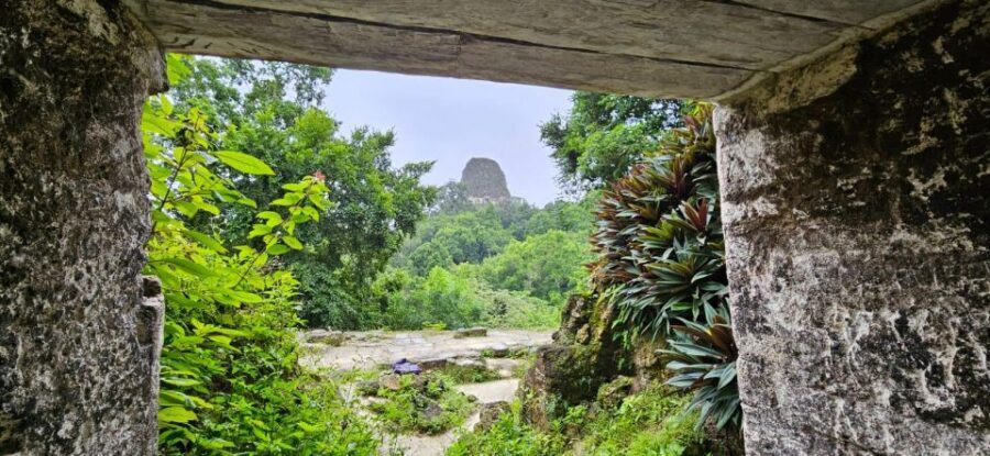 From Flores Guided Tour to Tikal with transportation + lunch - Lunch inside the park: convenient, but quality can vary