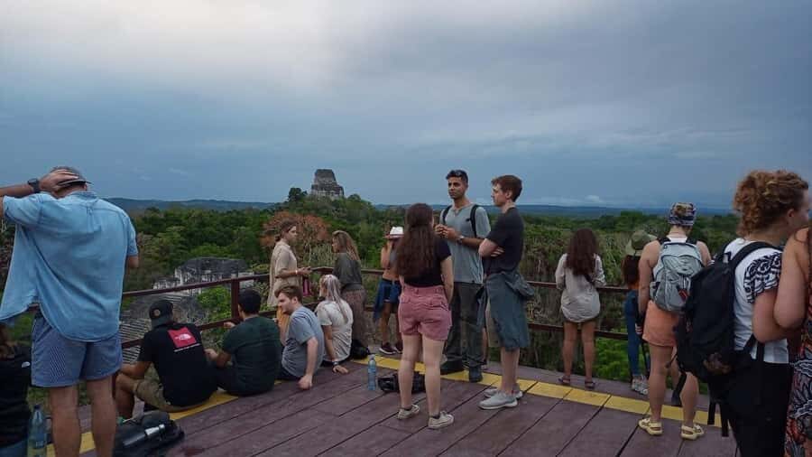 From Flores: Tikal Guided Tour with Transportation - Jungle wildlife moments: what you might actually spot