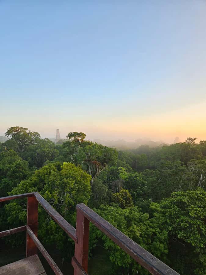 From Flores: Tikal National Park All Inclusive - Quick hits you’ll feel day-of