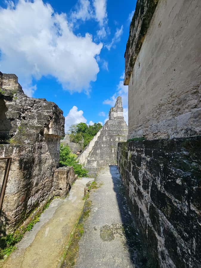 From Flores: Tikal National Park All Inclusive - The comfortable van ride: productive time, not wasted time