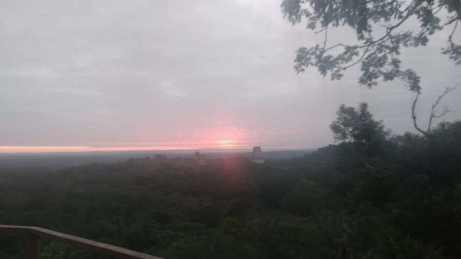 From Flores: Tikal Sunset Tour - Price and Value: What You Really Get for $25