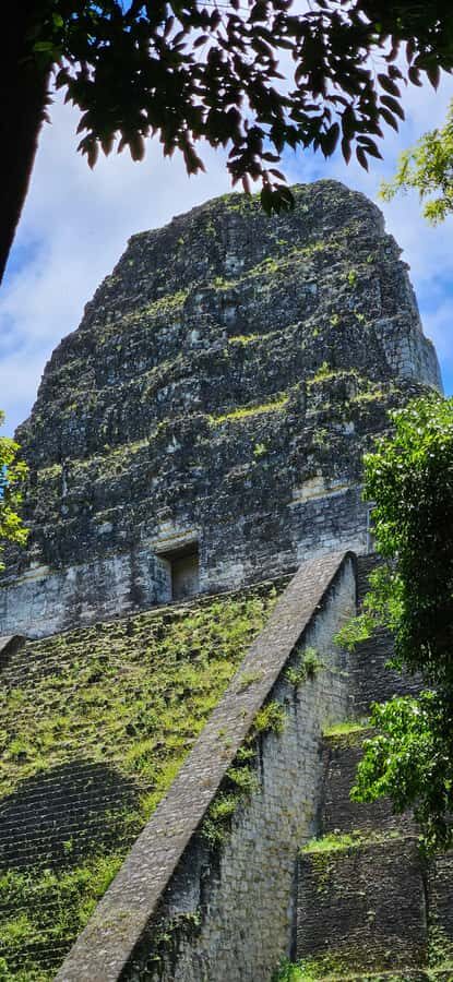 From Flores: Tour Tikal All Inclusive - Arriving at Tikal: skip the lines, then start the hike