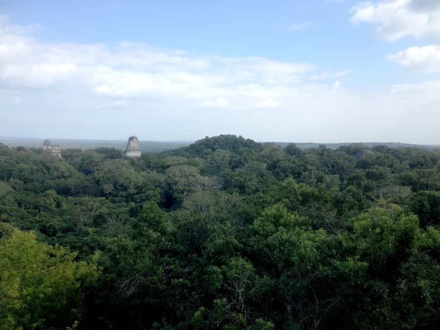 From San Ignacio: Tikal Maya Site Day-Trip with Local Lunch - Lunch at a Local Guatemala Restaurant: Good Food, Timing You Should Plan For