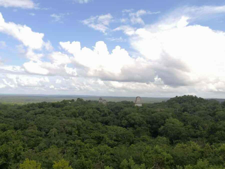 Impressive Tikal from Flores with Lunch - Temple 4 and the Twin Pyramid Complexes