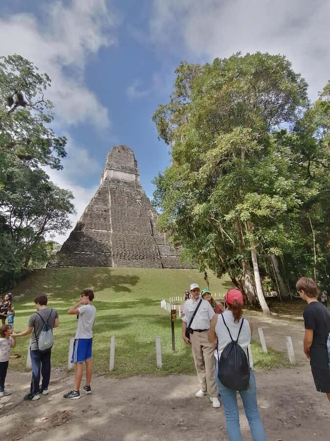 Impressive Tikal from Flores with Lunch - First steps in Tikal: causeways, trails, and getting oriented