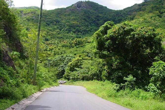 Island Safari 4x4 Discovery Tour from St John's - Who should book this 4x4 discovery tour from St John’s?