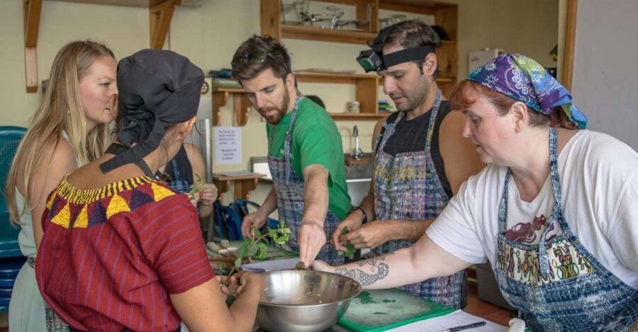 Lake Atitlan Maya Kitchen: 3-Hour Cooking Class - Practical tips for a smooth class in Santa Cruz La Laguna