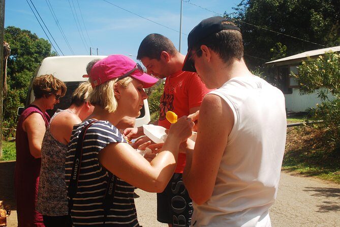 North Coast Tour - North Coast Tour Antigua: the short ride that hits big contrasts