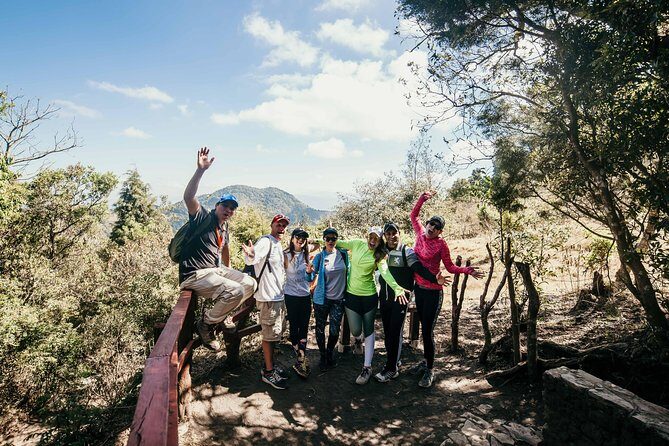 Pacaya Volcano Shared Hiking Tour - Guide Quality, Group Size, and the Small Details That Matter