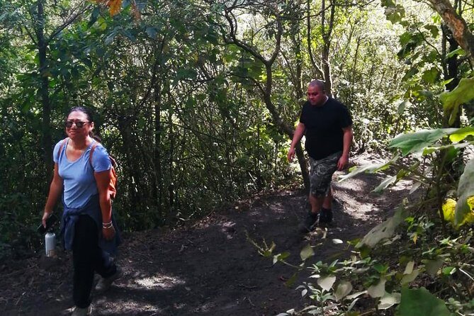 Pacaya Volcano Tour and Hot Springs from Guatemala City - Getting from Guatemala City: the early pickup and Antigua connection
