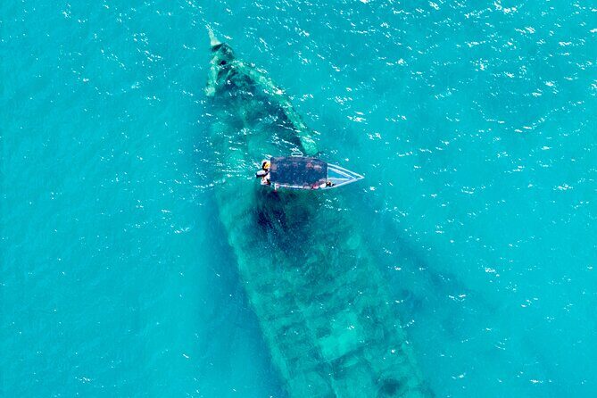 Reef Explorers Transparent Boat and Beach Tour - Key Highlights You’ll Actually Use