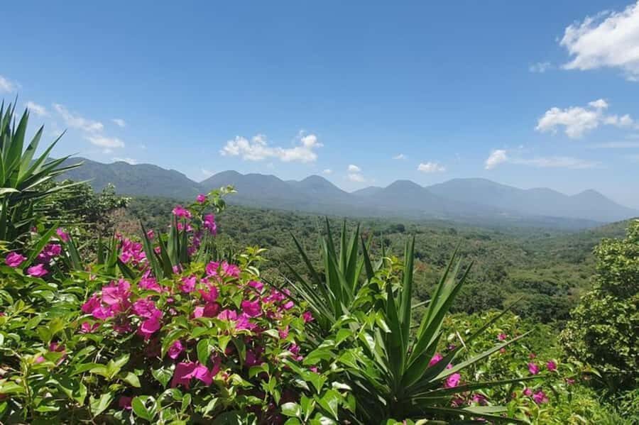 San Salvador: Full Day Ruta de Las Flores and Coffee Farm - Key Takeaways Before You Go