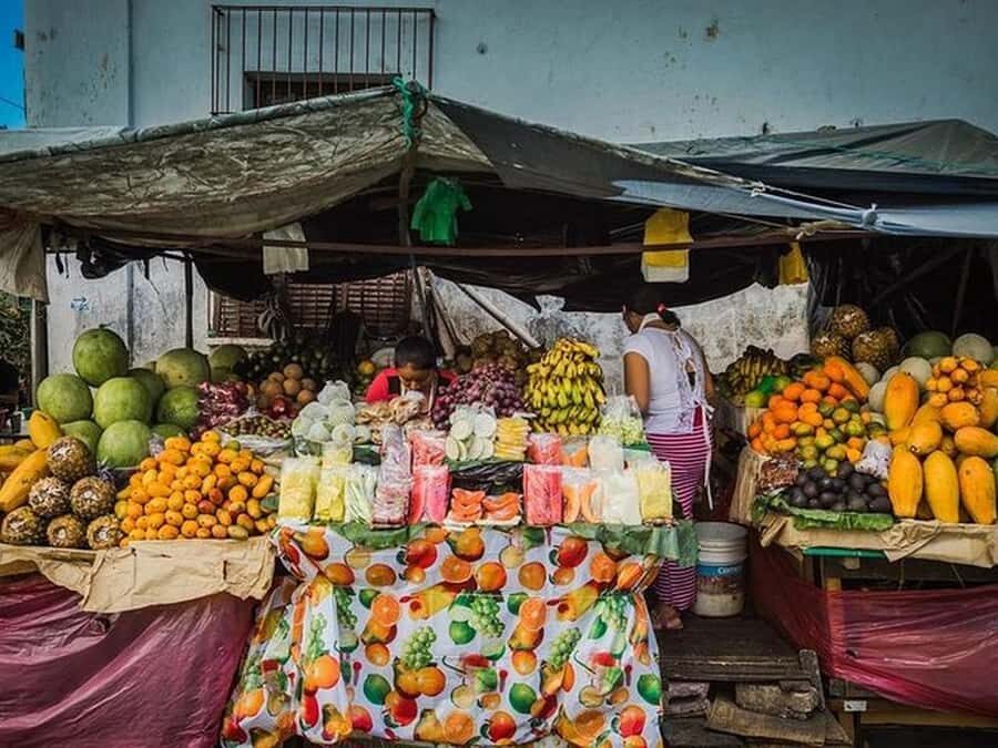 San Salvador: Full Day Ruta de Las Flores and Coffee Farm - A 9-Hour Route That Feels Like You Found the Shortcut
