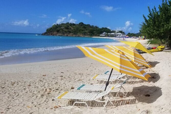 Straight to the Beach - Ffryes Beach: Snorkel, Swim, Kayak, and the Mangrove Learning Moment