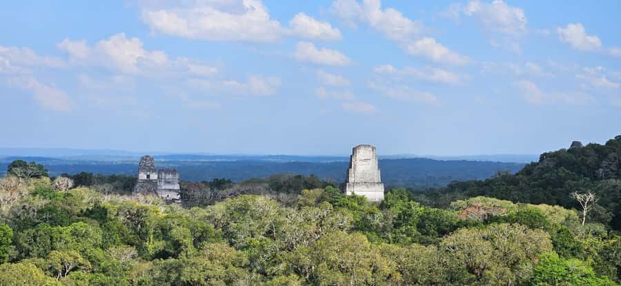 Tikal from Hotel Camino Real El Remate - All Inclusive - Model of Tikal and the Ceiba National Tree: get your bearings fast
