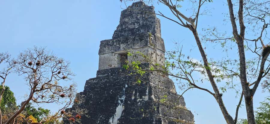 Tikal from Hotel Camino Real El Remate - All Inclusive - Calzada Maler: the straight line that makes the city click