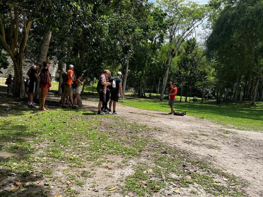 Tikal Group Tour from Flores - A Fast, Guided Tikal Day from Flores