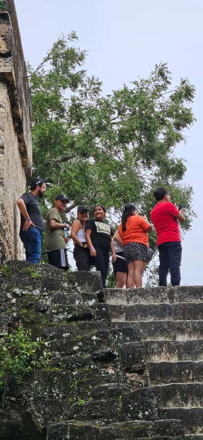 Tikal Group Tour Transportation, Guide plus Lunch - Complex Q, Complex R, and the Calm Before the Big Views